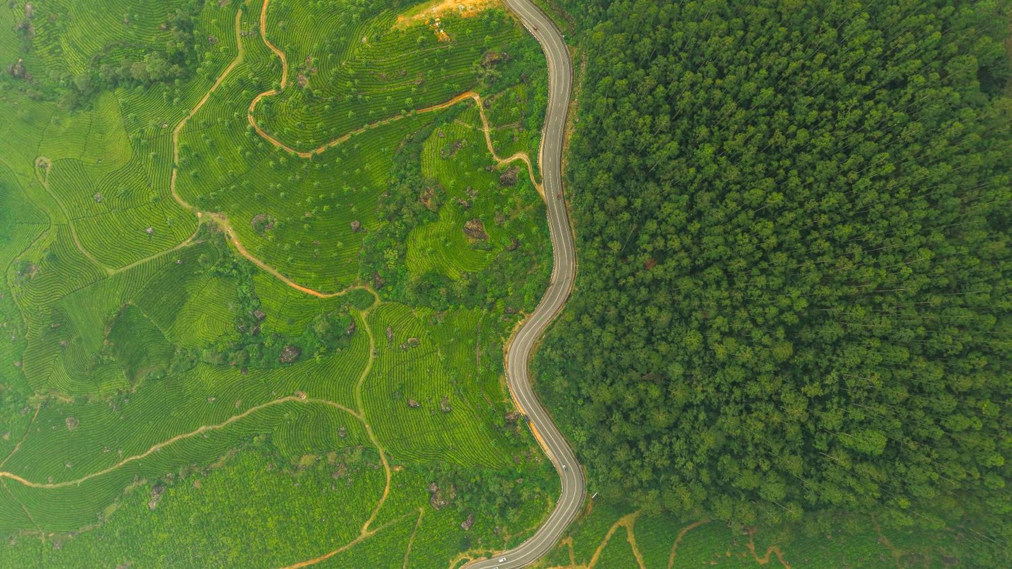 Eastend Munnar Exterior photo