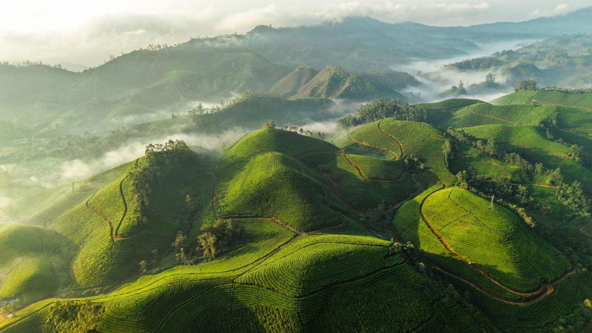 Eastend Munnar Exterior photo
